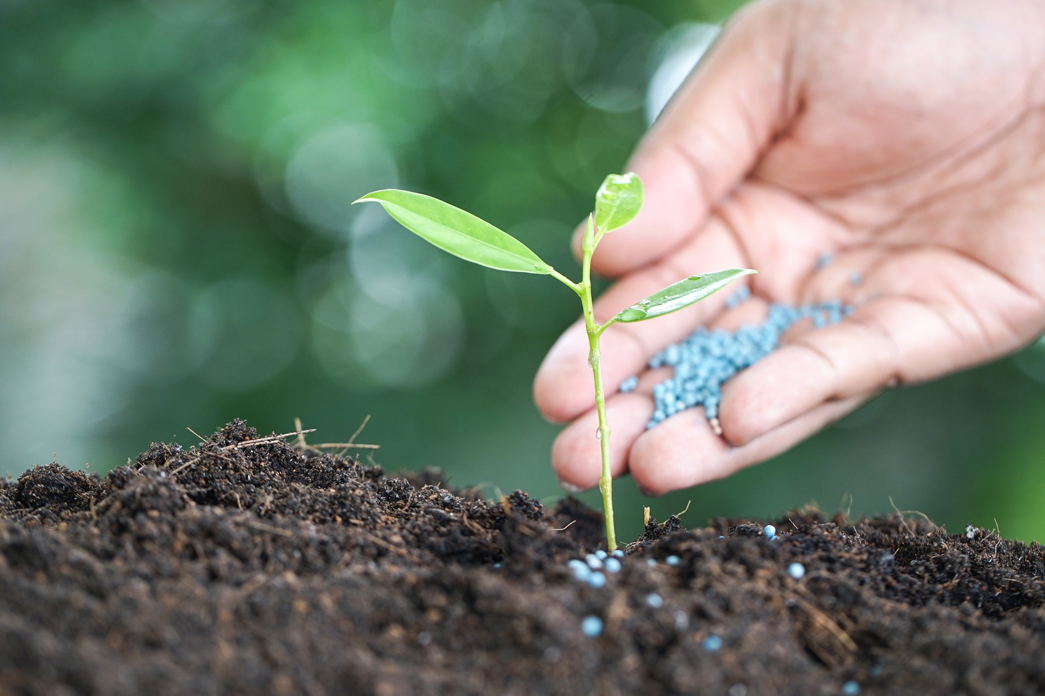 Entregas de fertilizantes no Brasil caíram em setembro