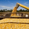“Quando analisamos o gráfico dá a entender que o preço quer voltar para essa faixa dos R$ 90", diz analista da Royal Rural - Marcelo Min