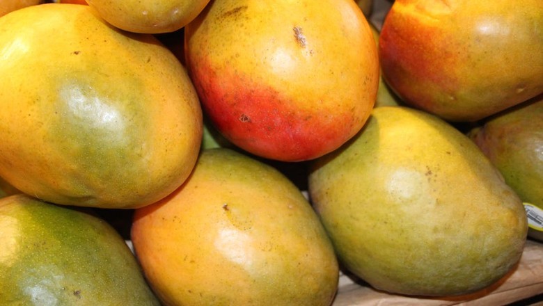 Preços da manga seguem em queda nas regiões produtoras do Nordeste