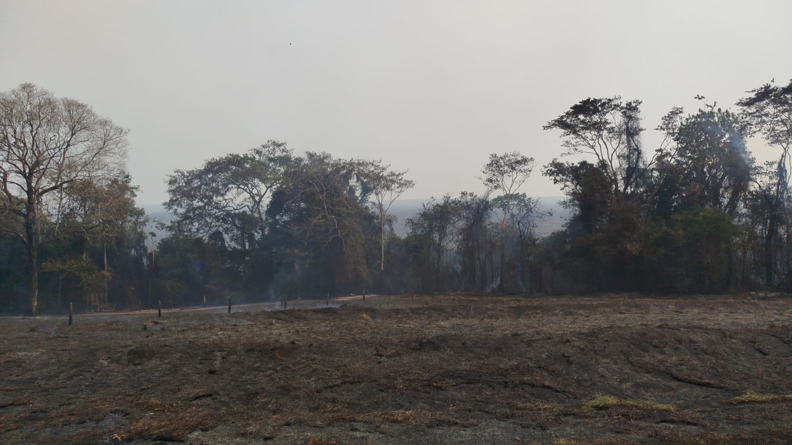 Incêndio atinge noroeste do Paraná, e produtores ainda avaliam perdas