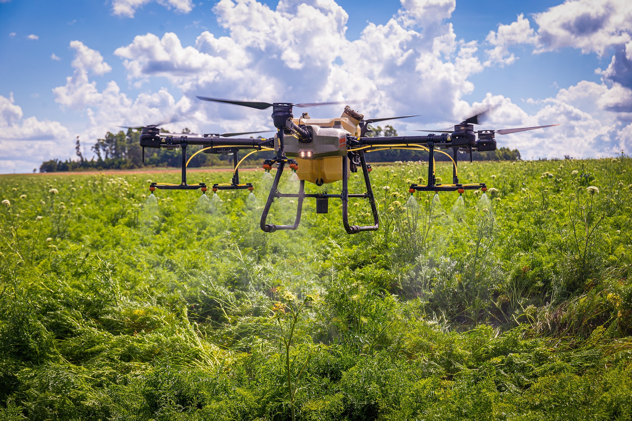 Uso de tecnologia é desigual entre empresas do agronegócio