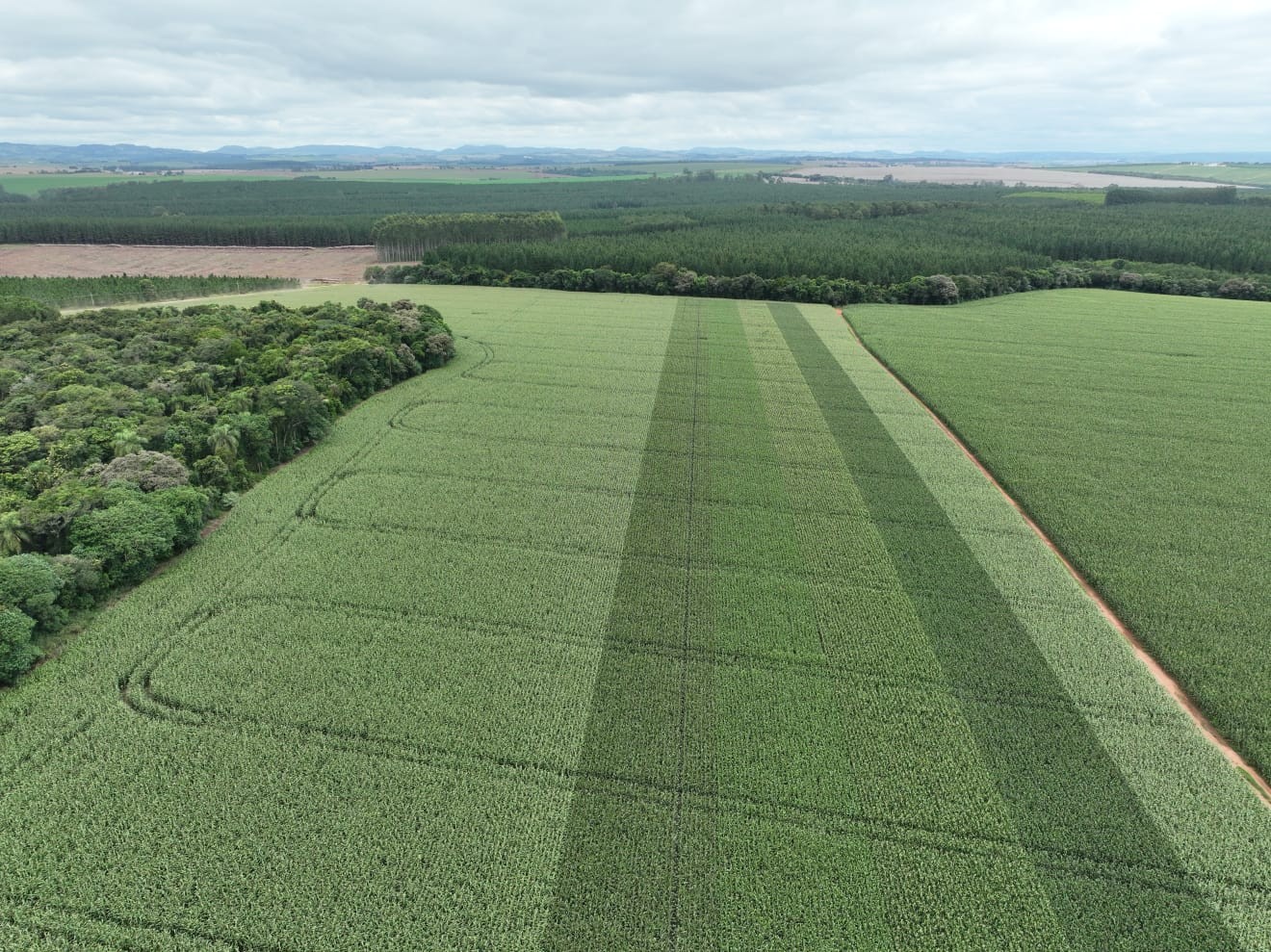 Empresários entregam propostas para grupo de agricultura do G20