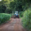 CNA defende que o programa de subvenção do seguro rural seja política de Estado e não de governo  - Wenderson Araujo/CNA