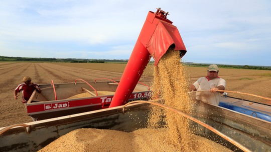 China importou 12,02 milhões de toneladas de soja em maio, 9,6 milhões do Brasil