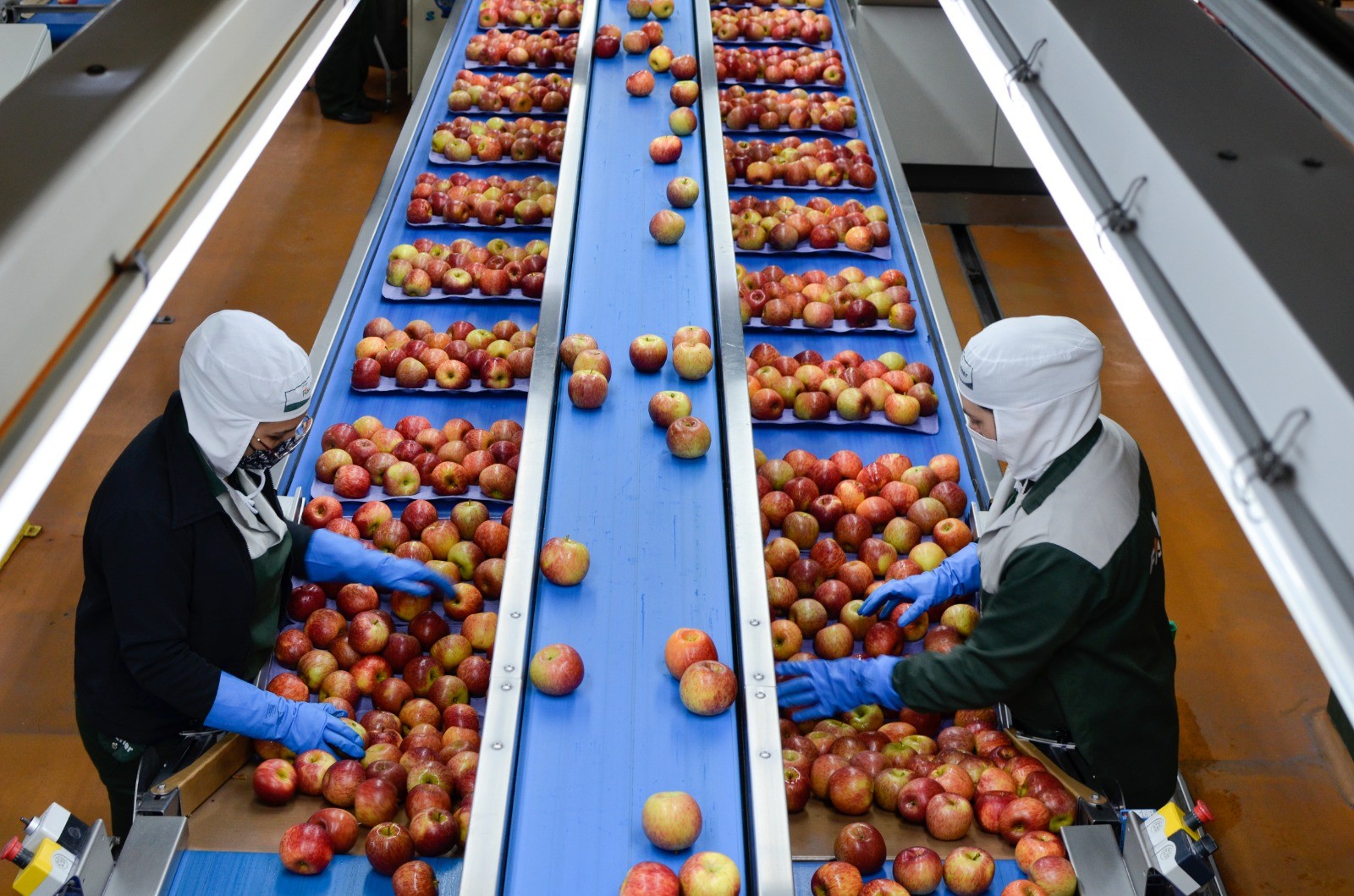 Agosto teve queda de 2,7% na produção da agroindústria