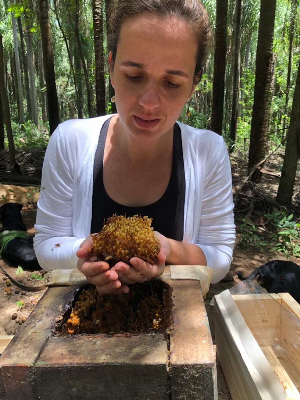 Juliana Massimino Feres criou sua própria marca de mel, a Eborá, e a atividade já responde por 30% de sua renda — Foto: Arquivo pessoal
