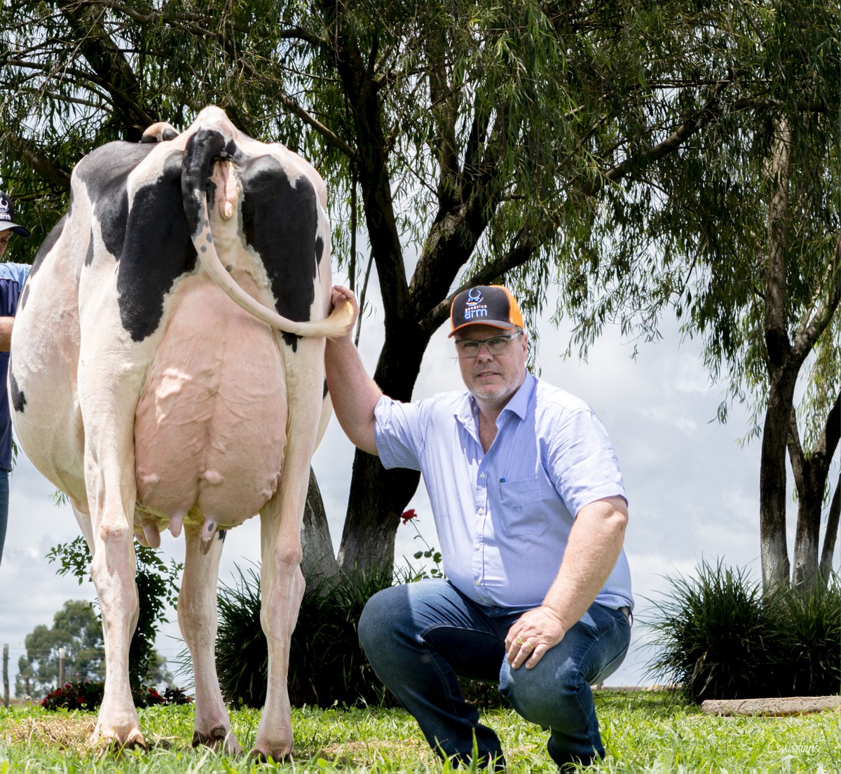 Agroleite destaca ordenha robótica