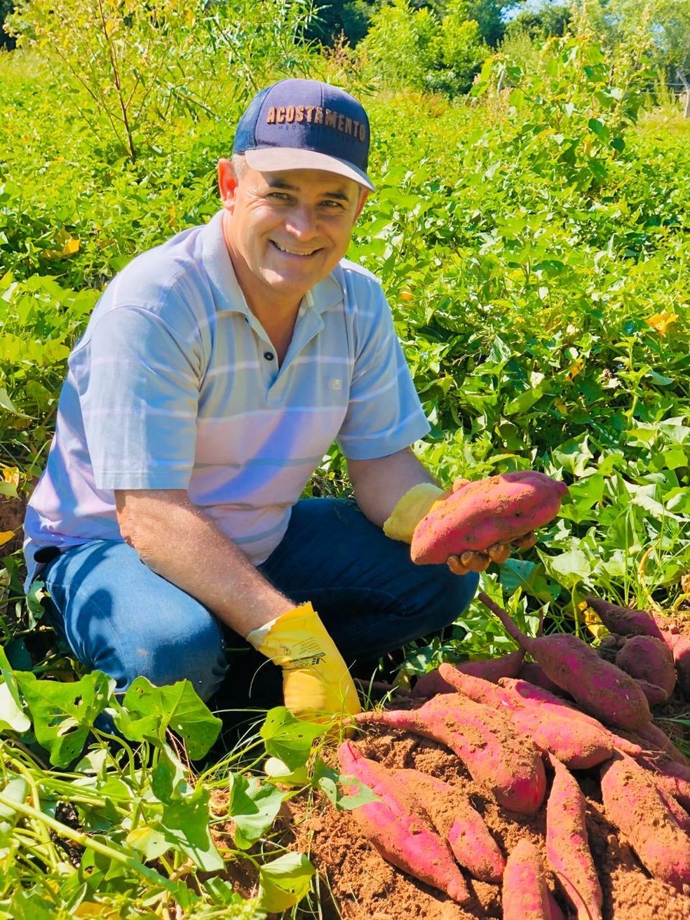 Elio Portella plantava algodão, feijão e mandioca, antes de ser “seduzido” pela batata-doce — Foto: Divulgação