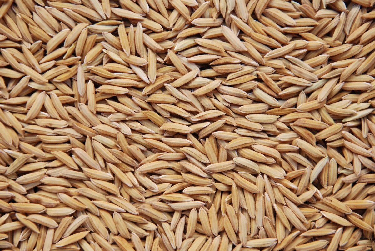 Preços do arroz ao produtor sobem com baixa oferta de lotes