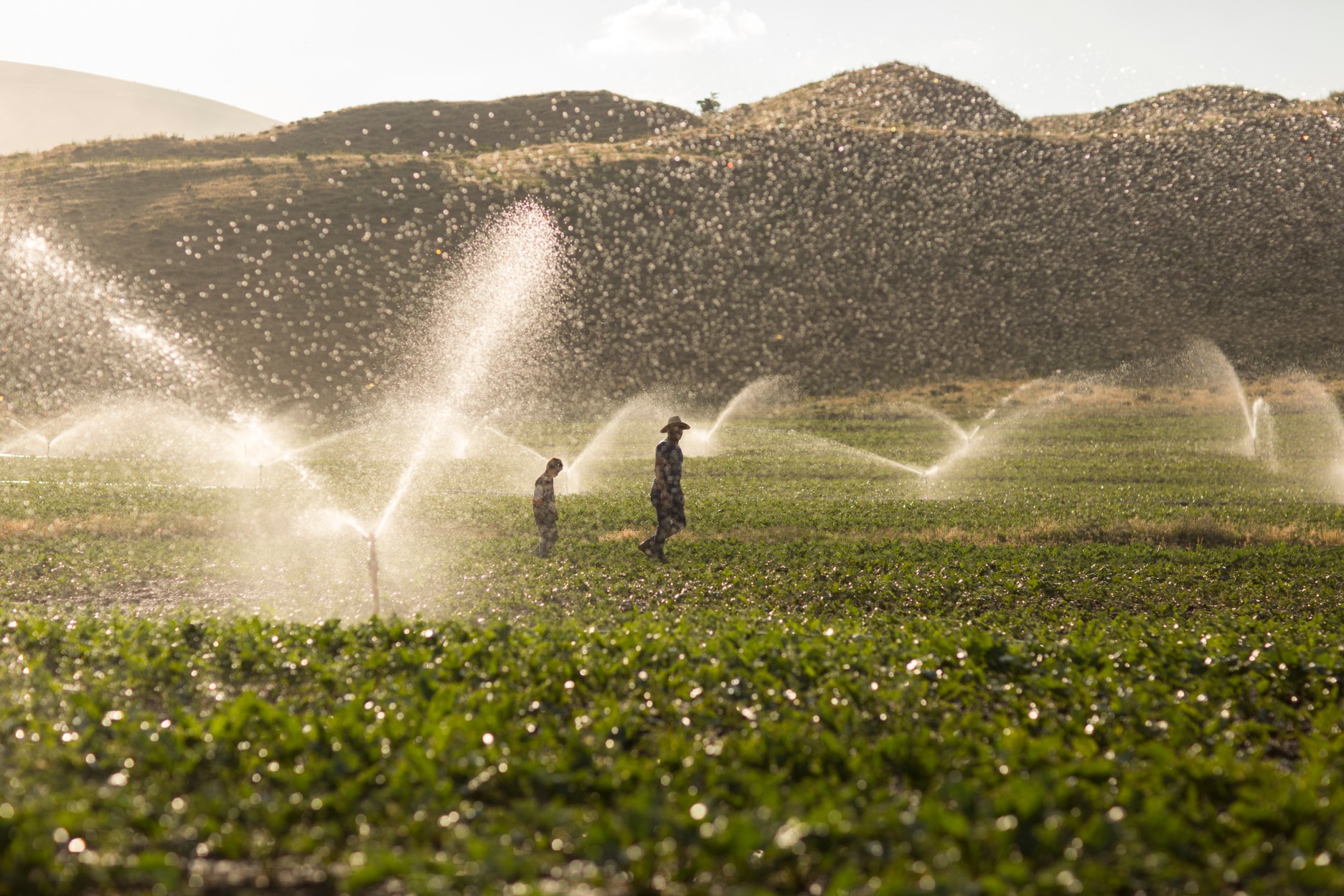 Secas no país fazem área irrigada crescer quase 15% em dois anos