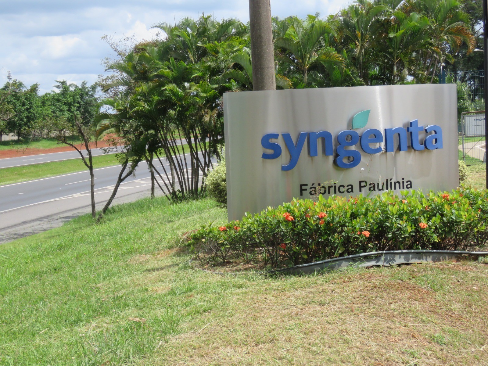 Grupo Syngenta tem queda de 6% nas vendas no terceiro trimestre