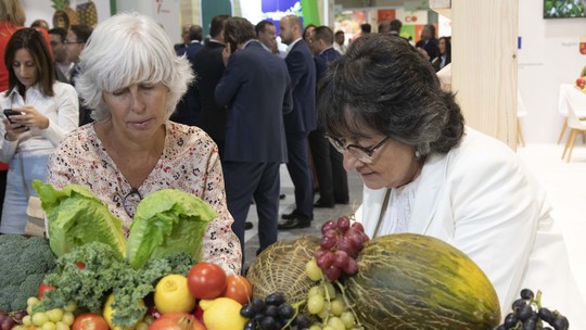 Empresas brasileiras de frutas projetam US$ 200 milhões em negócios em feira na Espanha