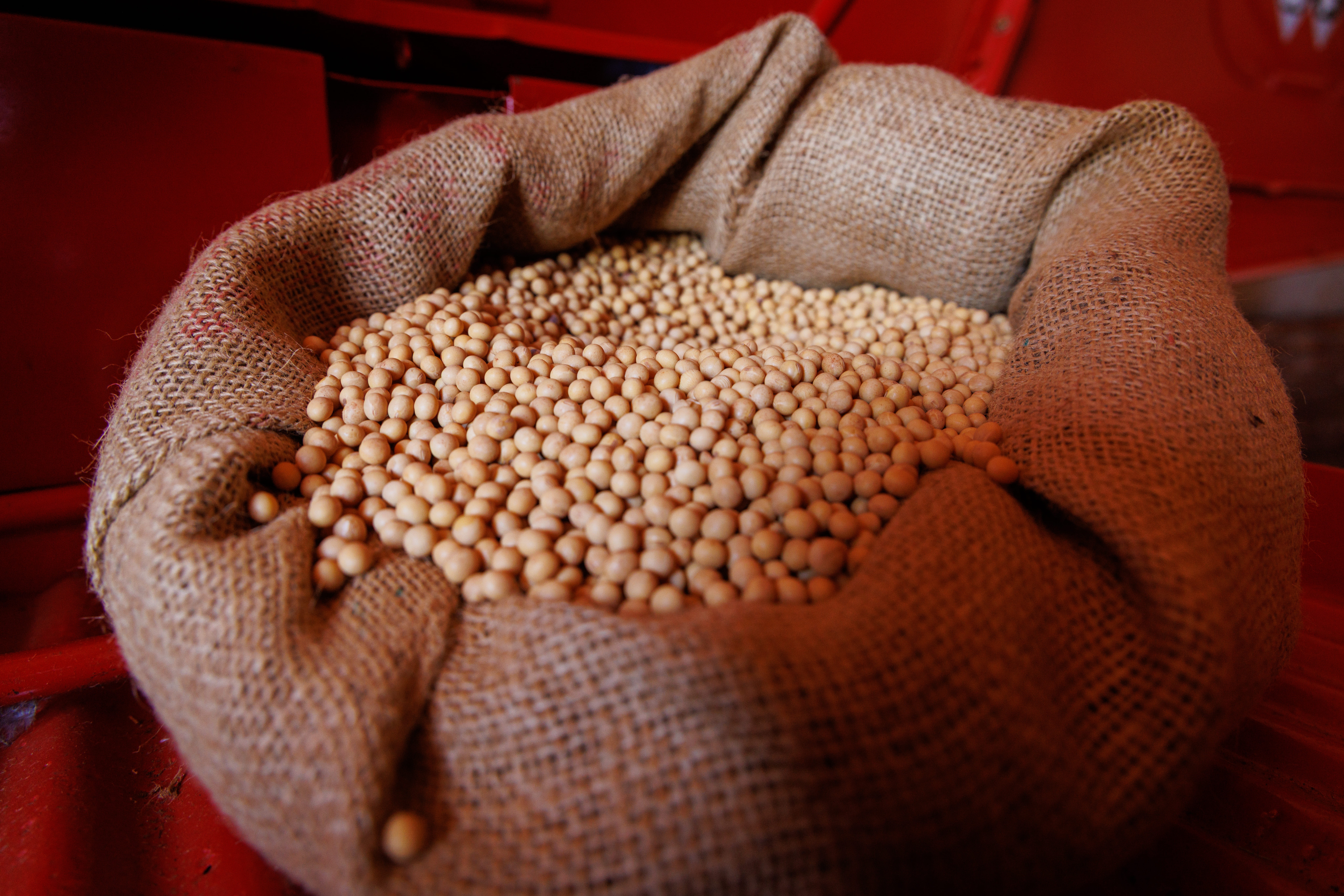 Preço da soja se mantém em R$ 130 a saca em Paranaguá