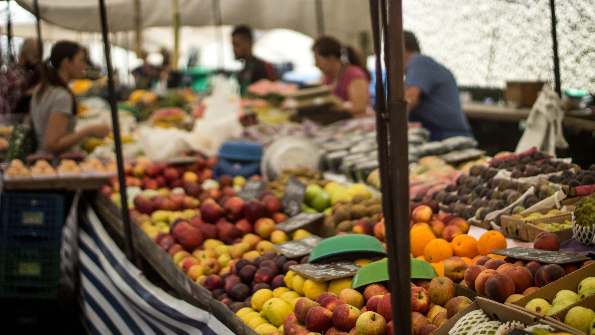 Entidades do agro alertam para aumento de custos e preços dos alimentos com corte de benefícios