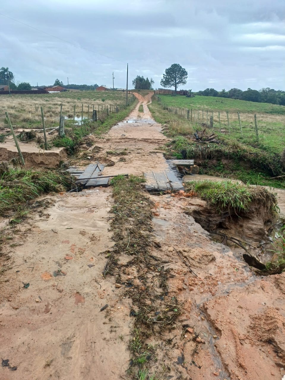 Governo já debate possíveis impactos de El Niño forte no agro