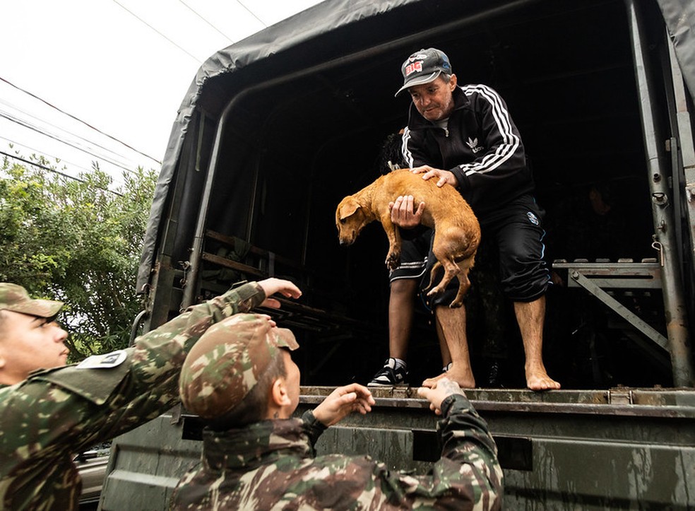 Mais de 12 mil animais já foram resgatados no RS — Foto: Michel Corvello