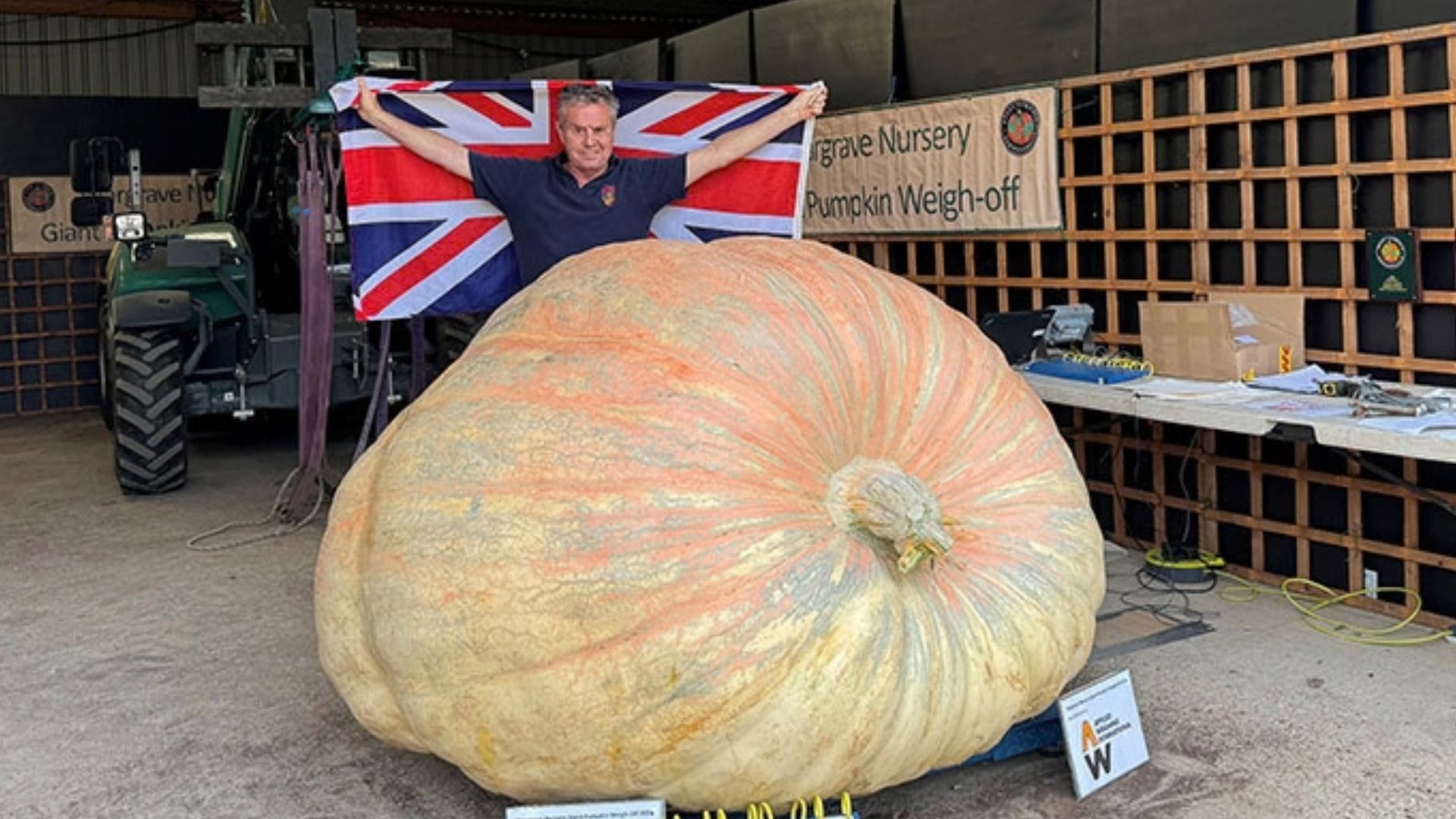 Agricultor volta ao Guinness por cultivo de abóbora gigante: 1,2 mil quilos