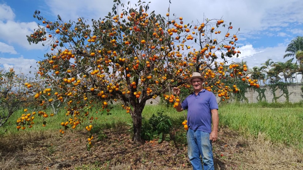 Carlos Alberto Capelleto diversifica a renda familiar com a venda de doces, bolachas, geleias e até vinagre artesanal de caqui — Foto: Arquivo pessoal