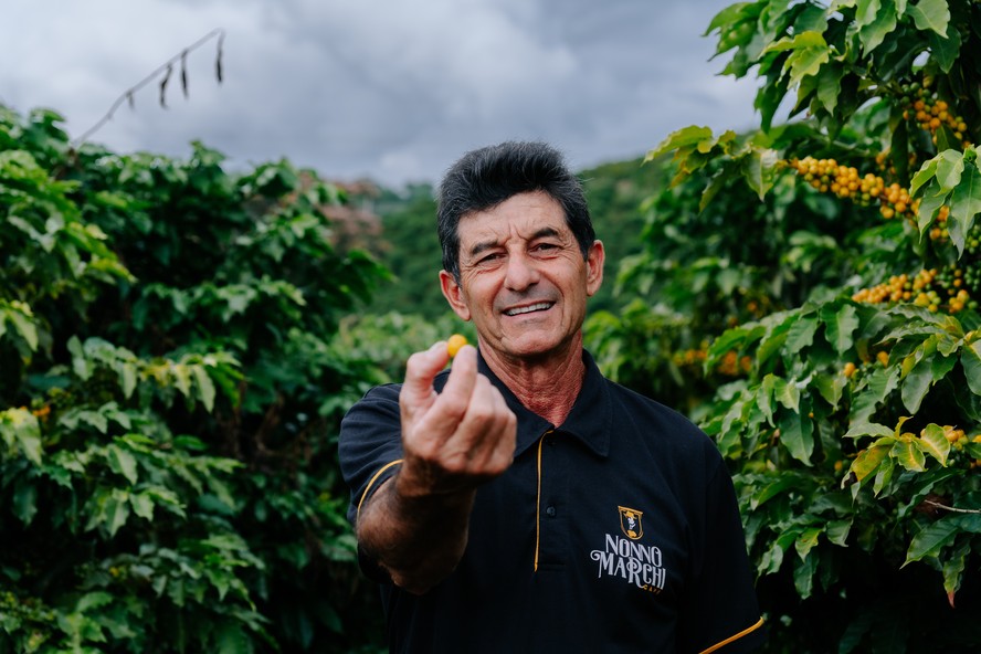 Roberto Marchi está produzindo mais na mesma área plantada e com maior qualidade