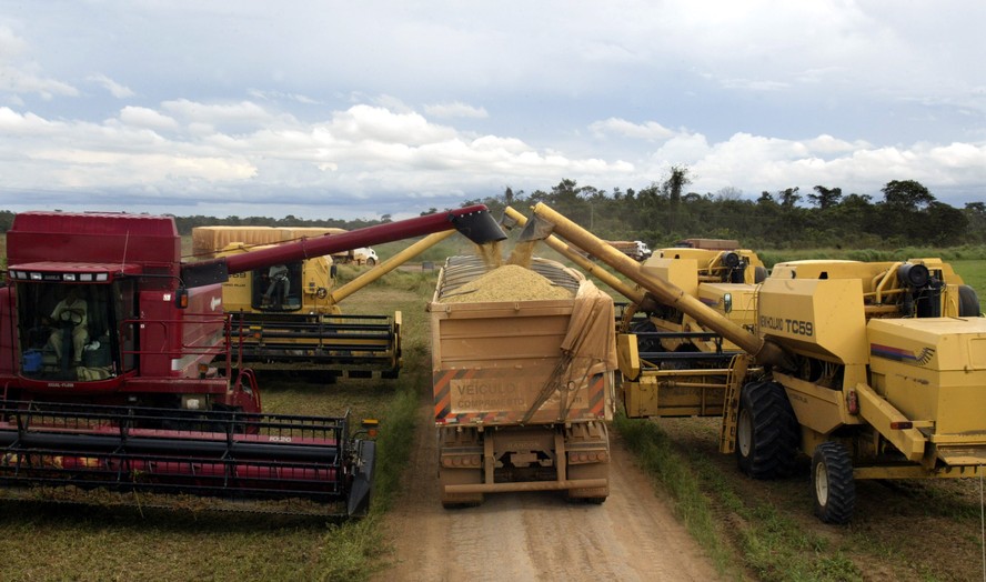 Desvalorização da soja e dos subprodutos devem desestimular produtores de soja, em Mato Grosso