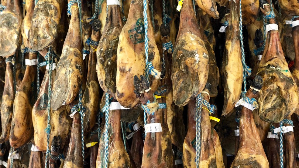 Presunto ibérico — Foto: Canva/Creative Commons