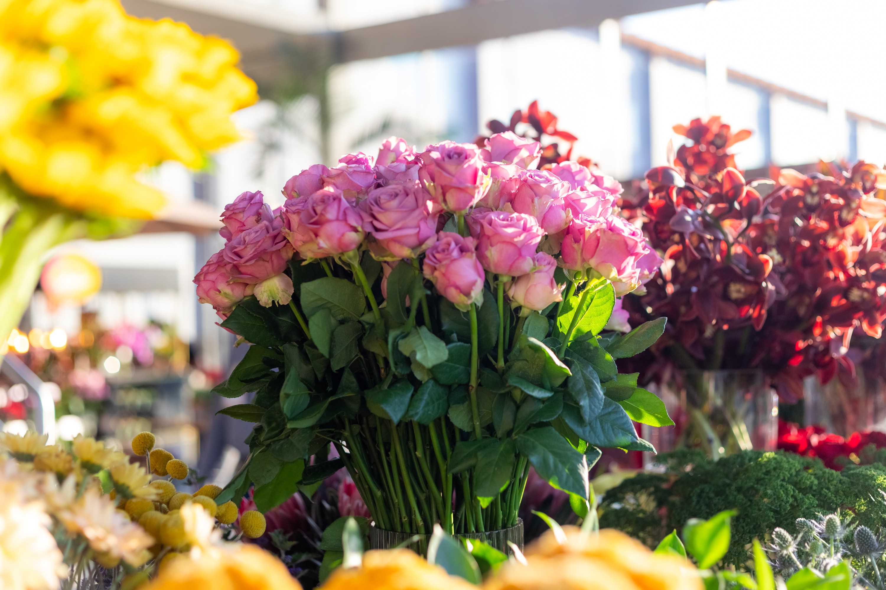 Quais flores dar no Dia dos Namorados? Veja as mais procuradas na data