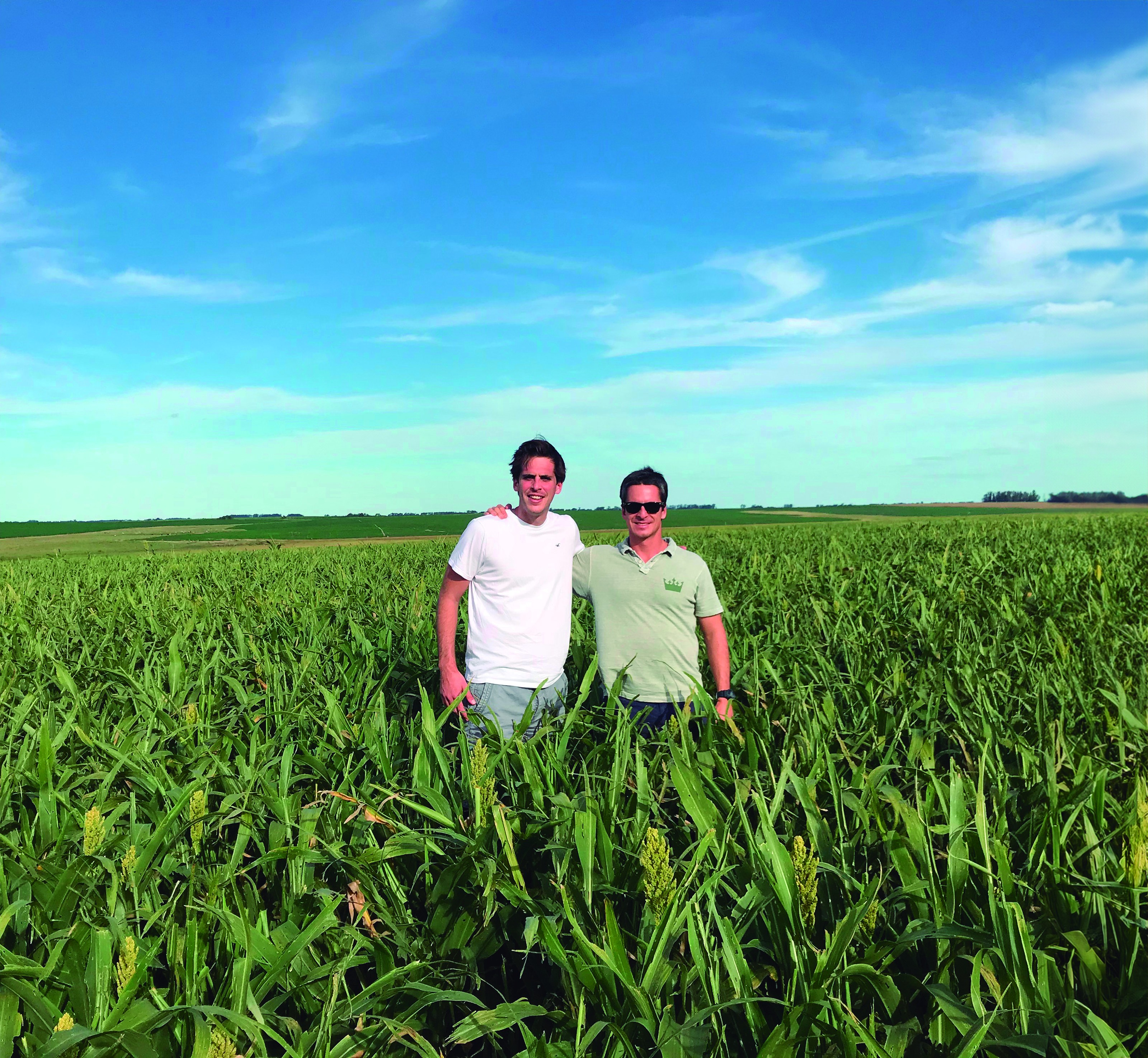 The Land Group, de operação de terras, busca recursos no Brasil
