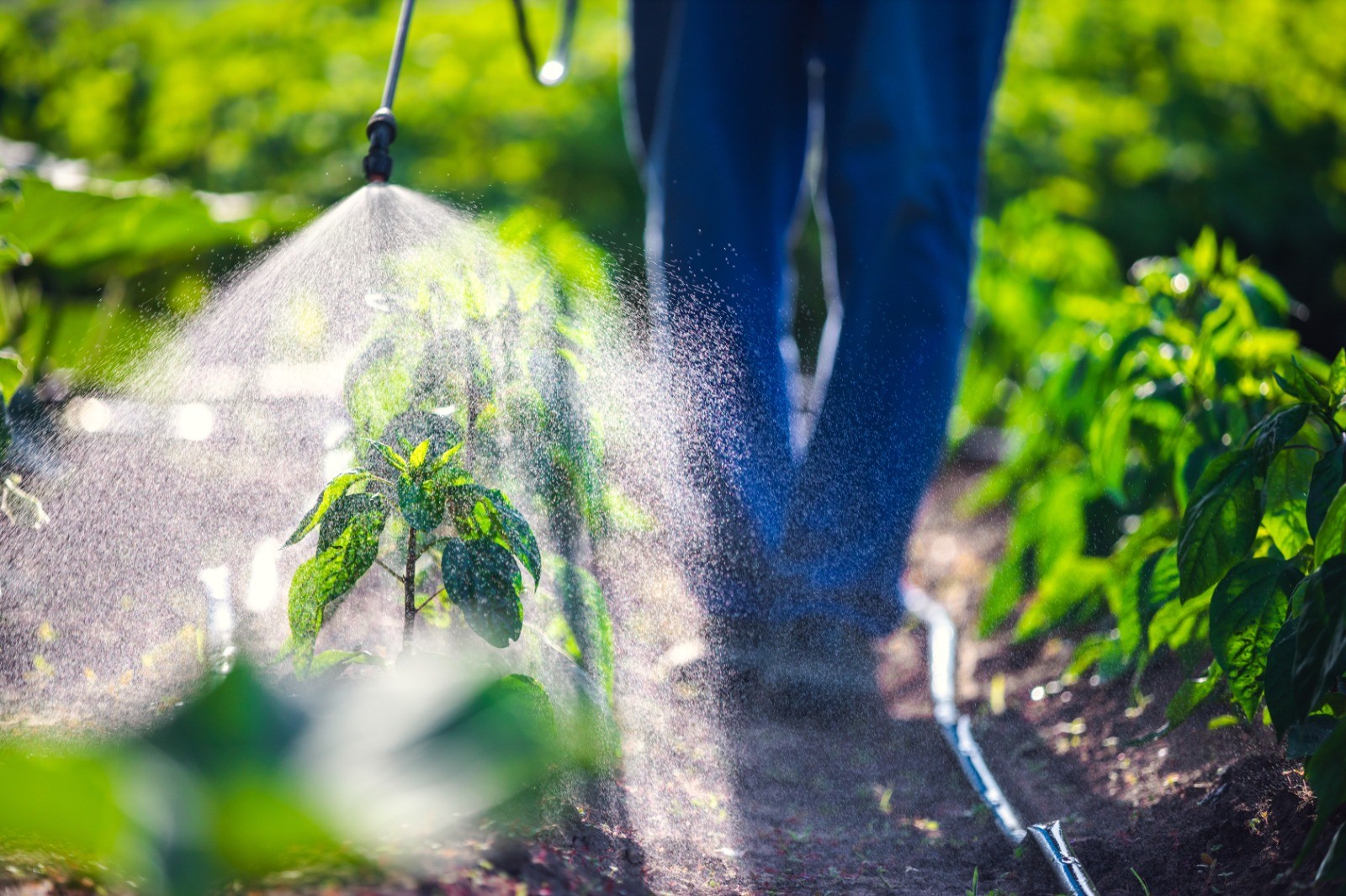 Curso mostra saídas para novos desafios do agro