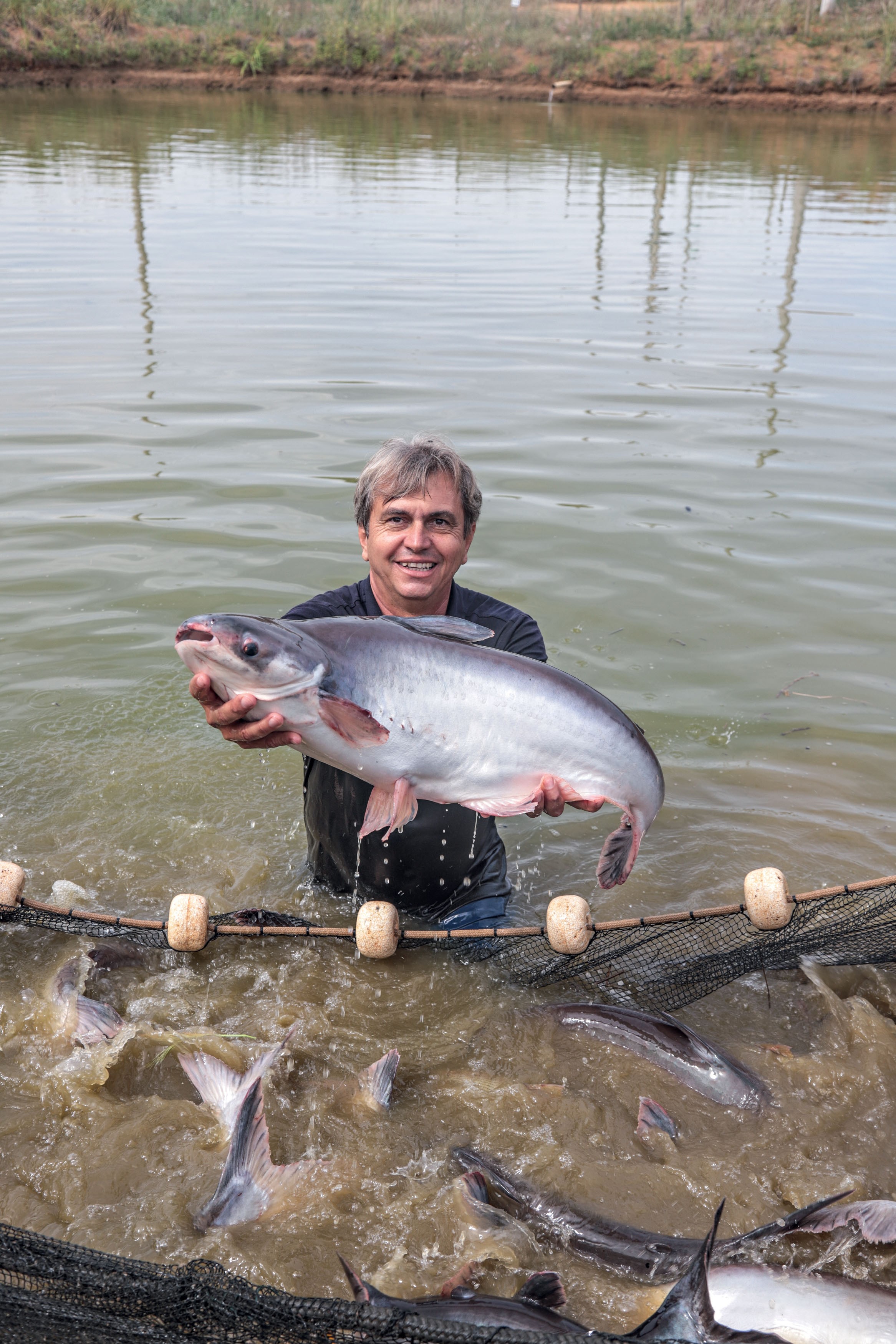 Como o Brasil chegou à produção de mais de 1 milhão de toneladas de peixes de cultivo