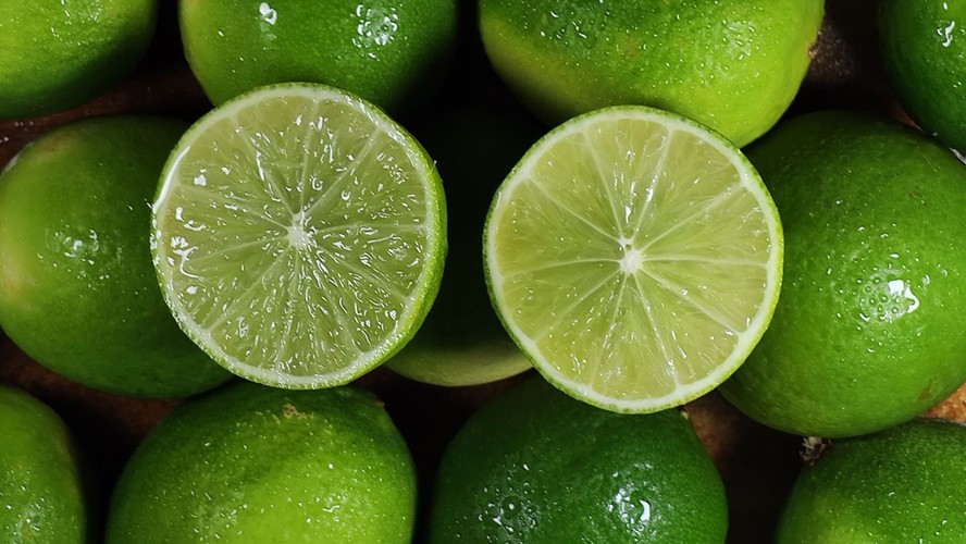 Mesmo com as chuvas atrapalhando a colheita, observa-se aumento gradual do calibre do limão