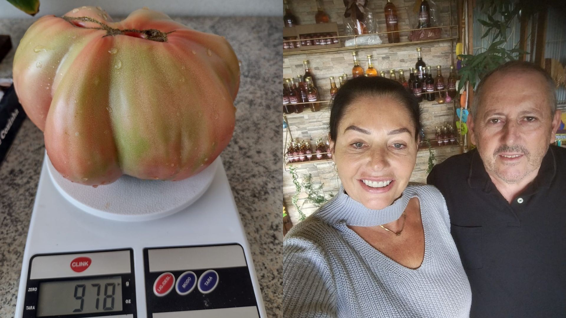 Casal colhe tomate gigante de quase um quilo em horta orgânica