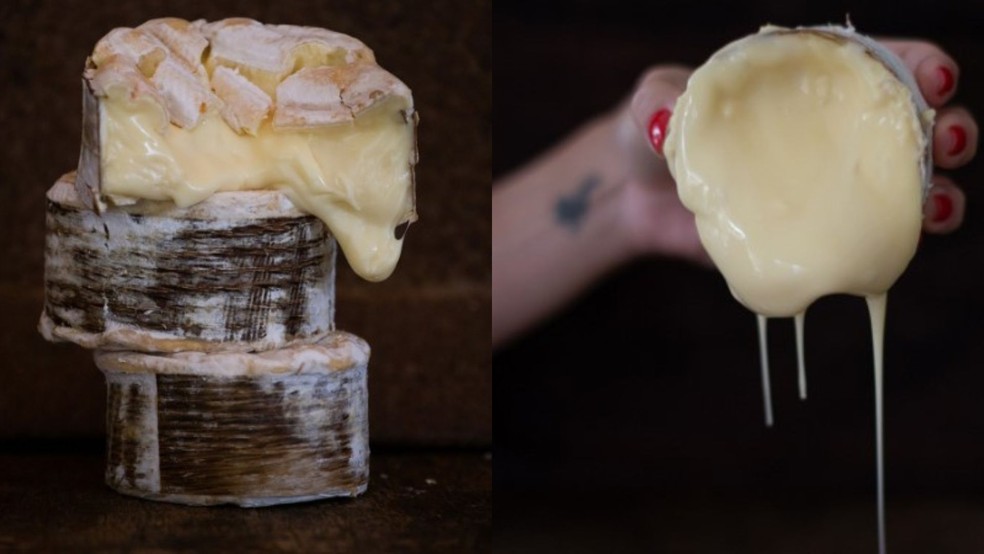 Queijo Morro Azul conquista o primeiro lugar no mundial dos queijos — Foto: Divulgação