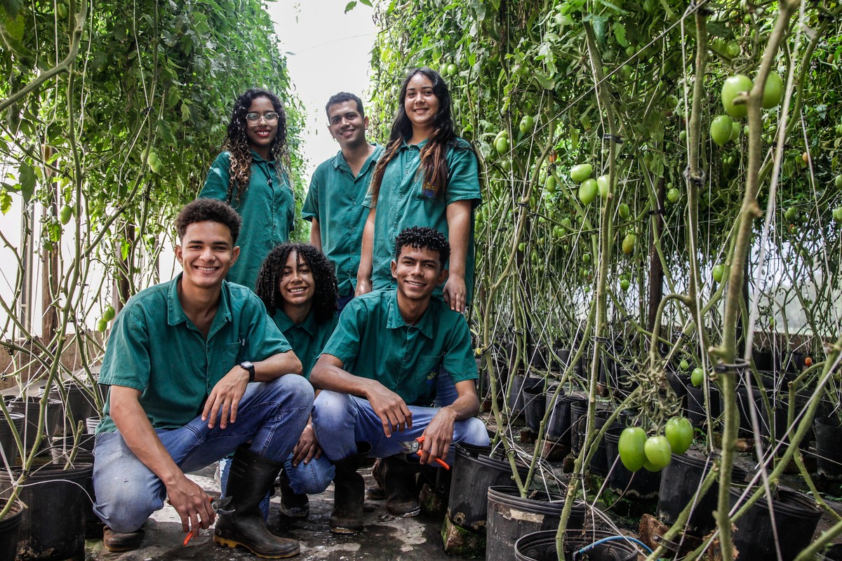 Estudar de graça em uma fazenda?