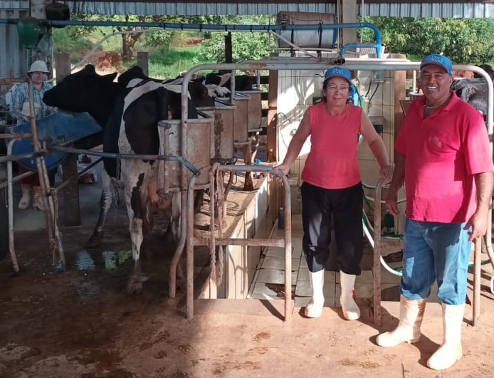 Ademar Rodrigues Sobrinho e sua esposa Ivone Rodrigues: renda melhorou bastante desde a entrada no programa — Foto: IDR-PR/Divulgação