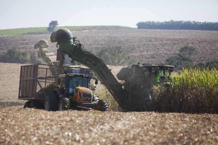 Preocupação com andamento na colheita de cana no Brasil e safra na Ásia são fatores de alta para o açúcar
