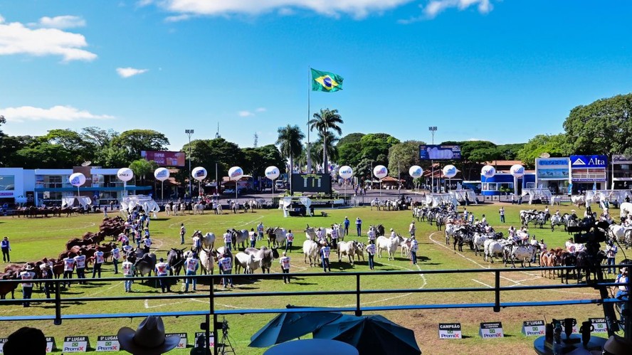 Pista de julgamento na Expozebu. Evento teve recorde de inscritos em sua 90ª edição