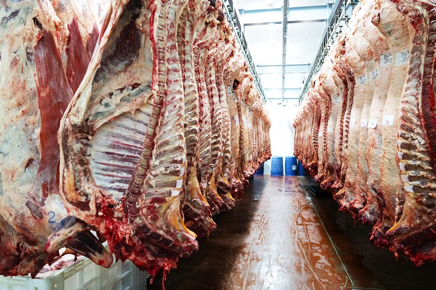 Ao todo, o Brasil tem 79 frigoríficos de carnes bovina, suína e de aves no aguardo por habilitação