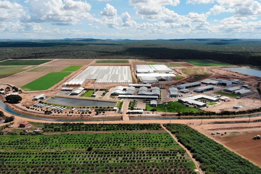 Investimento de R$ 900 milhões vai impactar o agronegócio brasileiro
