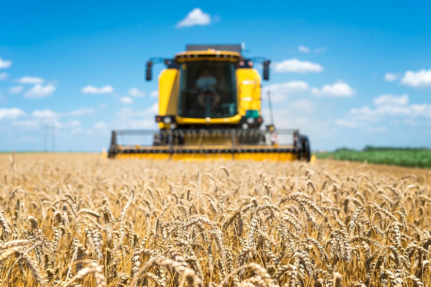 Safra russa de trigo pode totalizar até 91 milhões de toneladas na temporada 2023/24