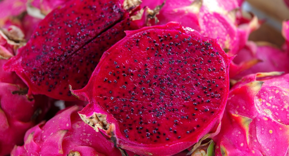 Pitaya — Foto: Foto Globo Rural