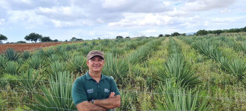 Professor da Universidade de Campinas, Gonçalo Pereira, classifica o uso do agave para produção de etanol como uma "revolução" — Foto: Arquivo Pessoal
