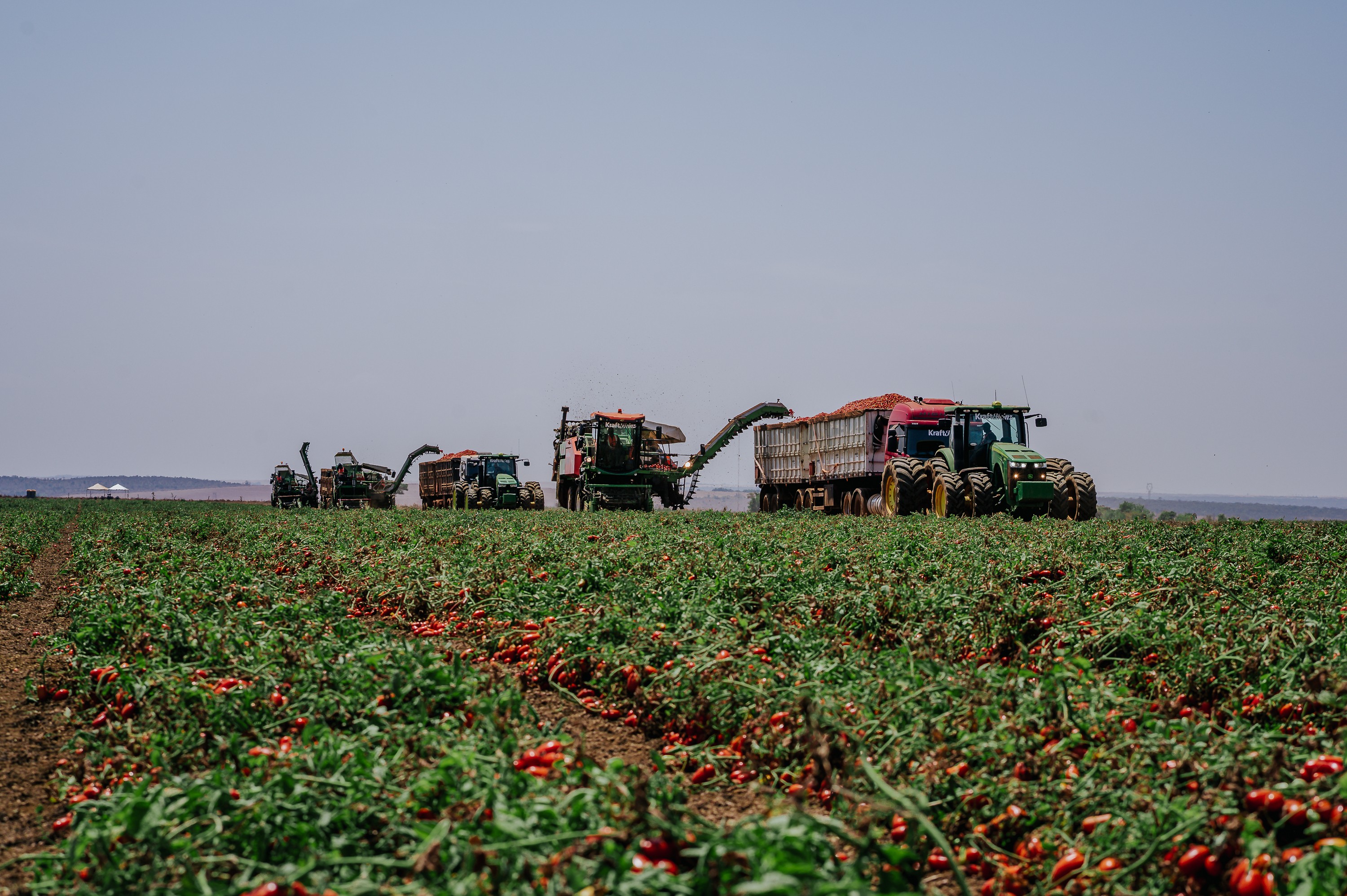 Do tomate ao ketchup, a aposta da Kraft Heinz para avançar no Brasil