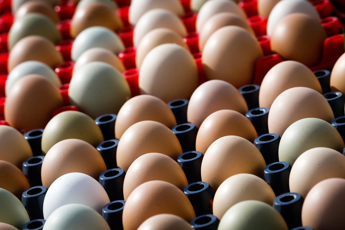 Fraca demanda pressiona cotações dos ovos