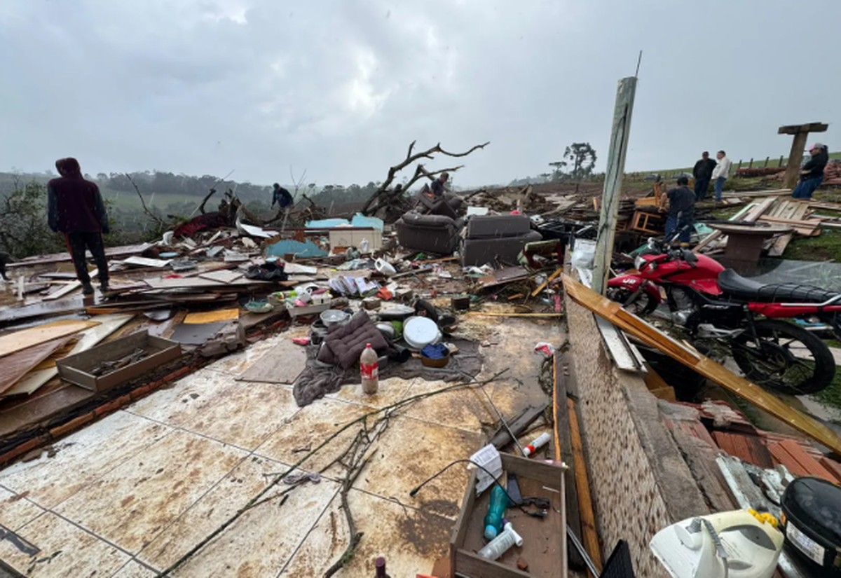 Imagem da notícia - Globo Rural