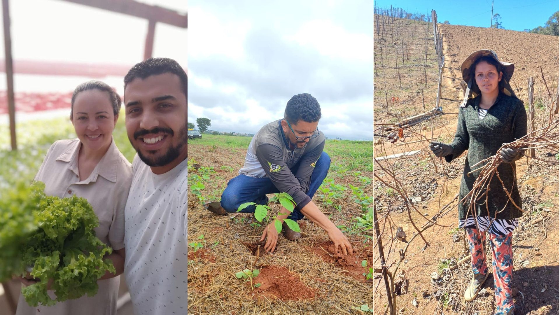 Agro usa TikTok para desmistificar setor e ganha espaço no universo digital