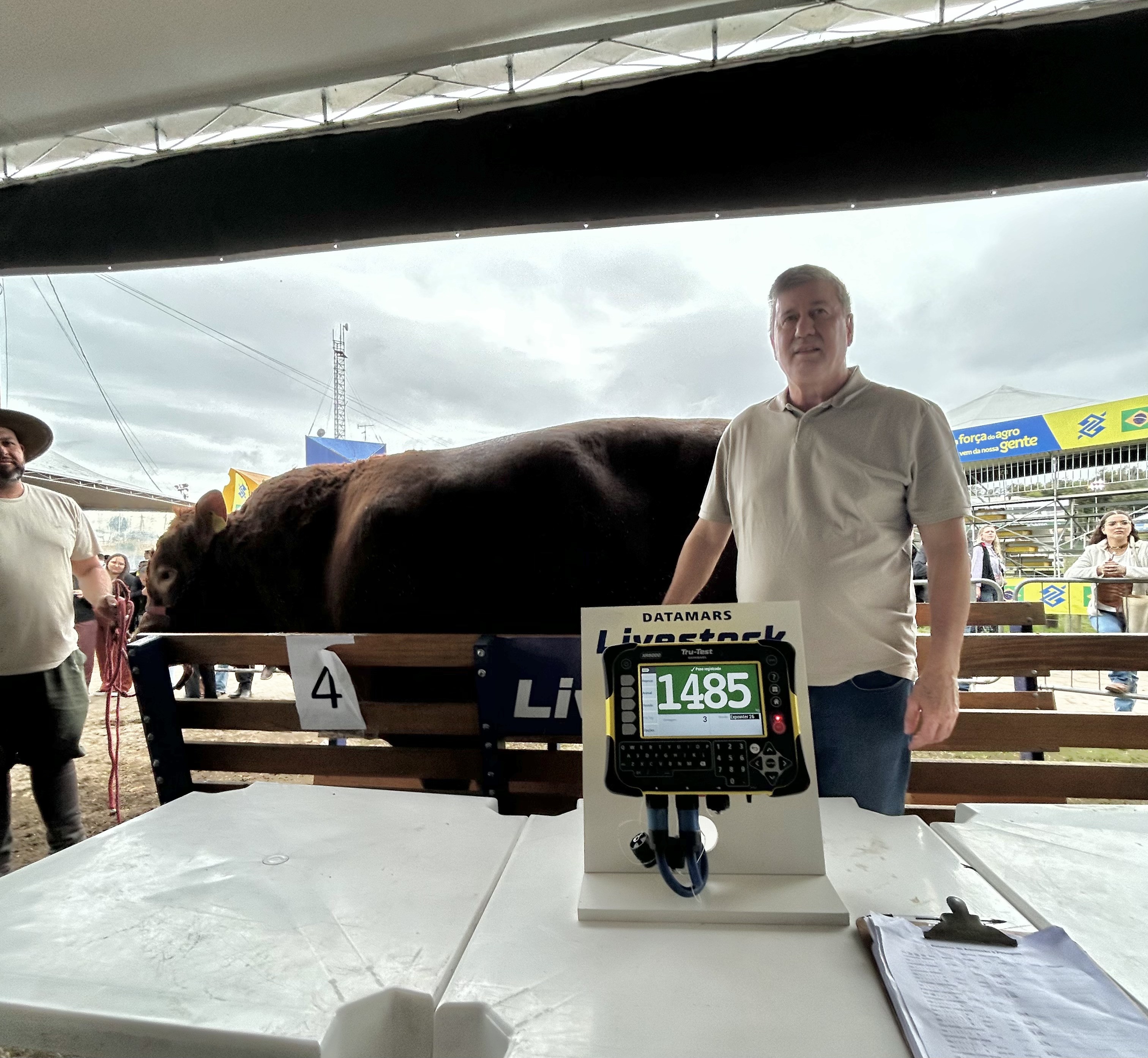 Touro de 1.485 quilos é o animal mais pesado da 49ª Expointer - QTU Questões do Universo