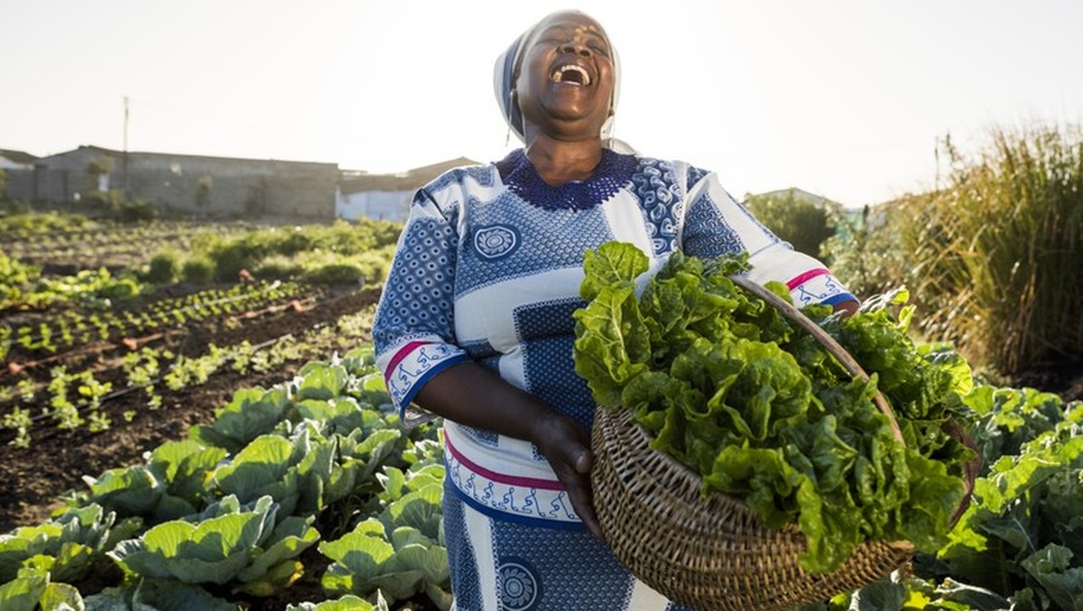 Mulheres conquistam mais protagonismo no agro