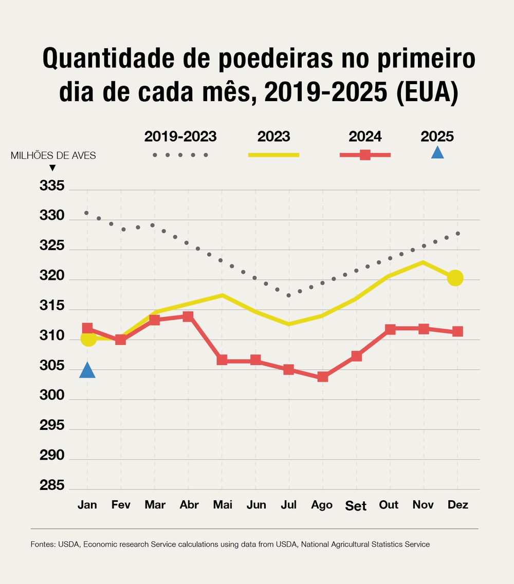Preço dos ovos dispara: entenda a crise que atinge o Brasil e os EUA