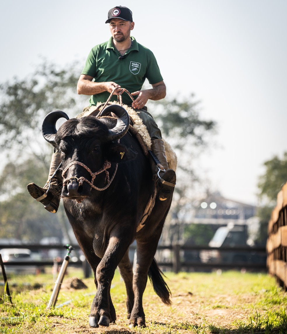 Marcos Oderdan Bottega, de Araricá (RS), destaca a docilidade dos animais para montaria — Foto: Marcelo Curia