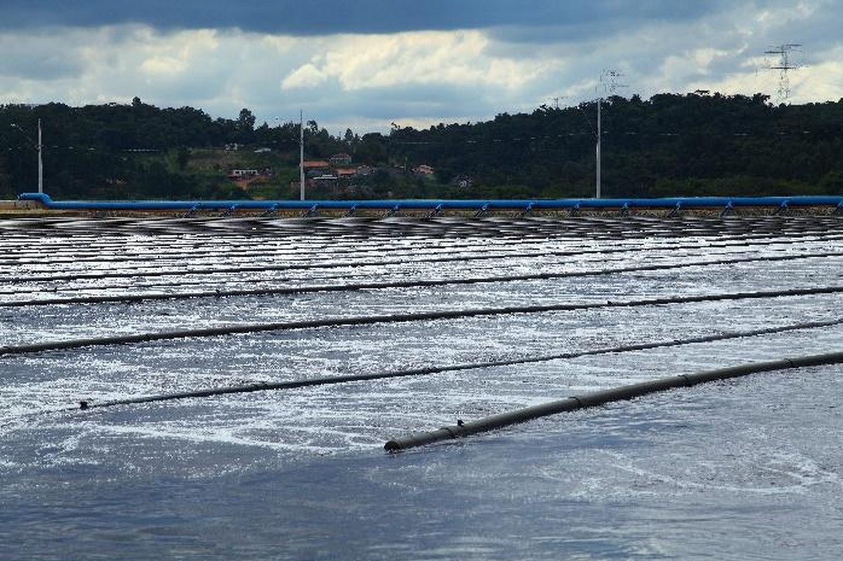 Lodo de esgoto pode virar fertilizante orgânico